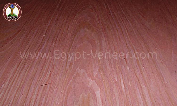 veneer