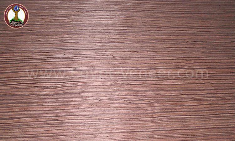veneer1